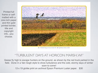 Turbulent Days At Horicon Marsh, WI